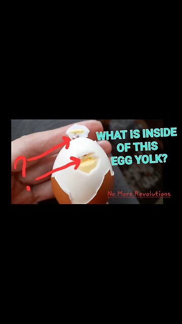 What Is Inside Of This Boiled Egg White? Something Dark Brown