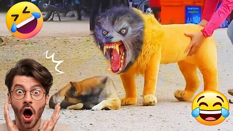 TROLL PRANK DOG FUNNY & FAKE LION AND FAKE TIGER PRANK TO DOG & HUGE BOX PRANK TO DOG