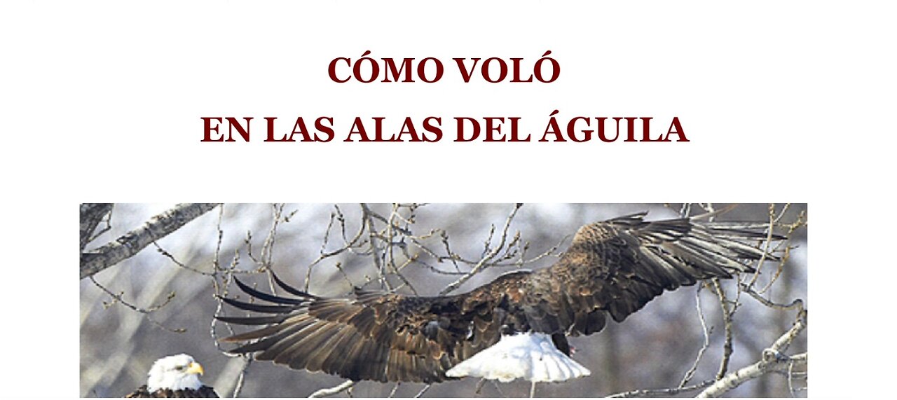 Cómo Voló en las Alas del Águila