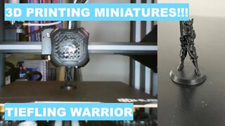 Tiefling Warrior | 3D Printing Minis