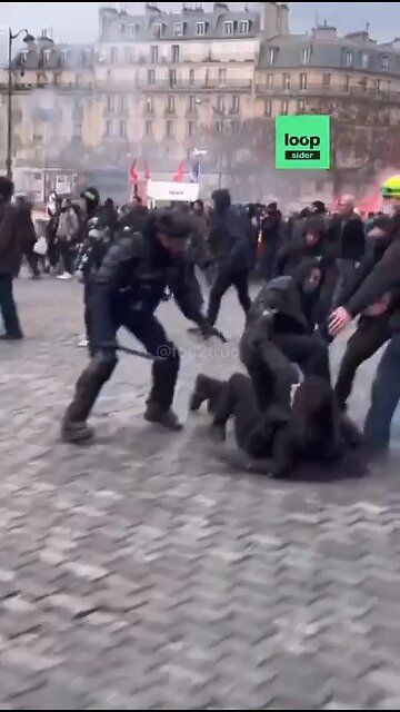 Les p’tits poulets de la RipouxBlic