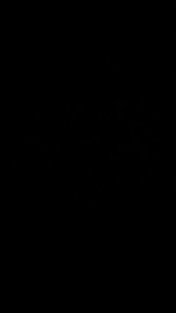 Donald J. Trump speech