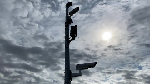 What's going up the poles along Highway 85 south of Platteville?