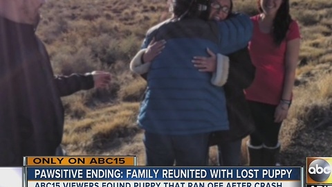 Dog returned to family after rollover crash in Flagstaff
