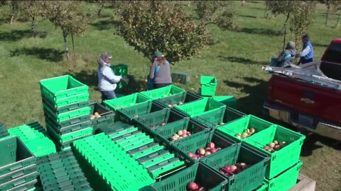 Growing number of people turning to Milwaukee area food pantries for help