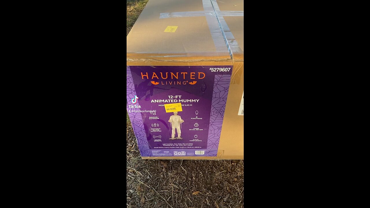 Giant Mummy from Lowe’s