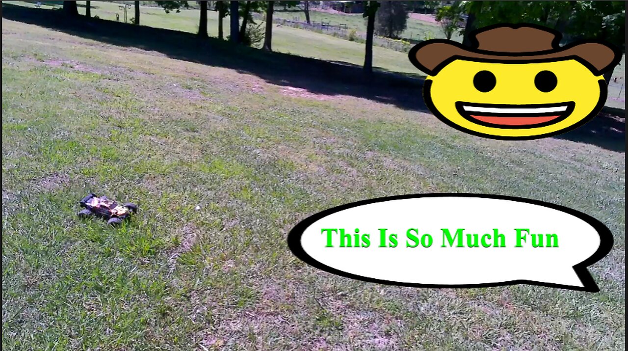 RC Dragon In A Field Part 4