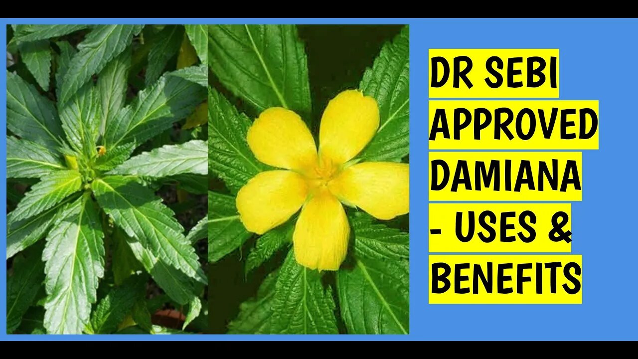 DR SEBI APPROVED HERB - DAMIANA