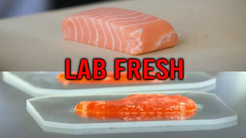 Lab Grown Meat, Lab Grown Fish & Central Bank Digital Currencies (CBDCs)