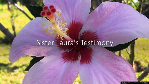 Sister Laura's Testimony