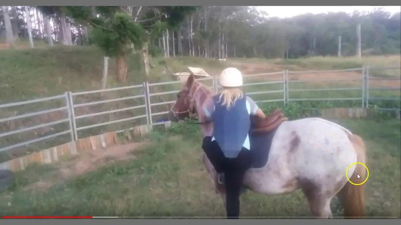 Training A Horse On Three Legs - This Is Not Good For The Horse & Shows Uneducated Trainer