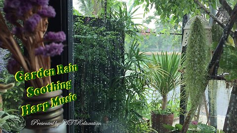 Garden Sitting With Rain|| Relaxing Harp Music || Calming Melody weekend sitting