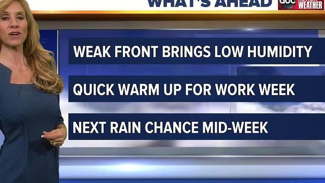 Action Weather Forecast