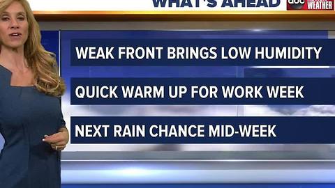 Action Weather Forecast
