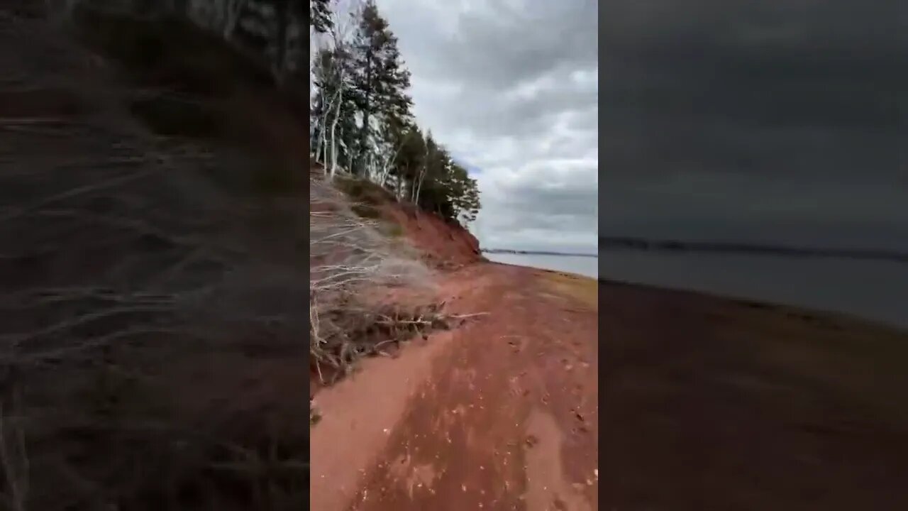 Erosion knocked this tree over