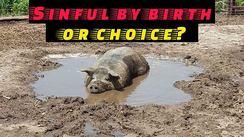 Sin nature & flesh