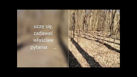 uczę się zadawać właściwe pytania...