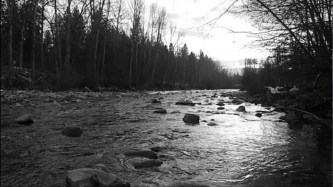 8 Hours By the River | Ambiance | Sleep | Insomnia | Study | Relax