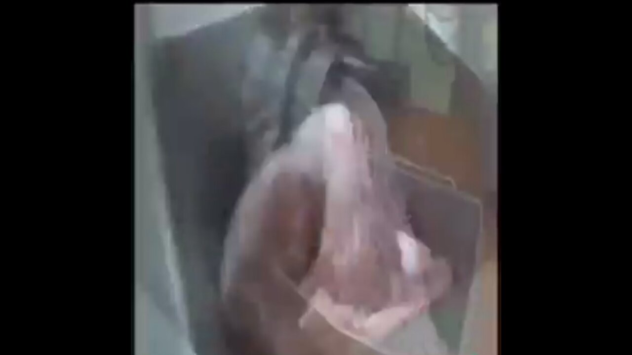 How to make burgers no wonder everyone getting sick