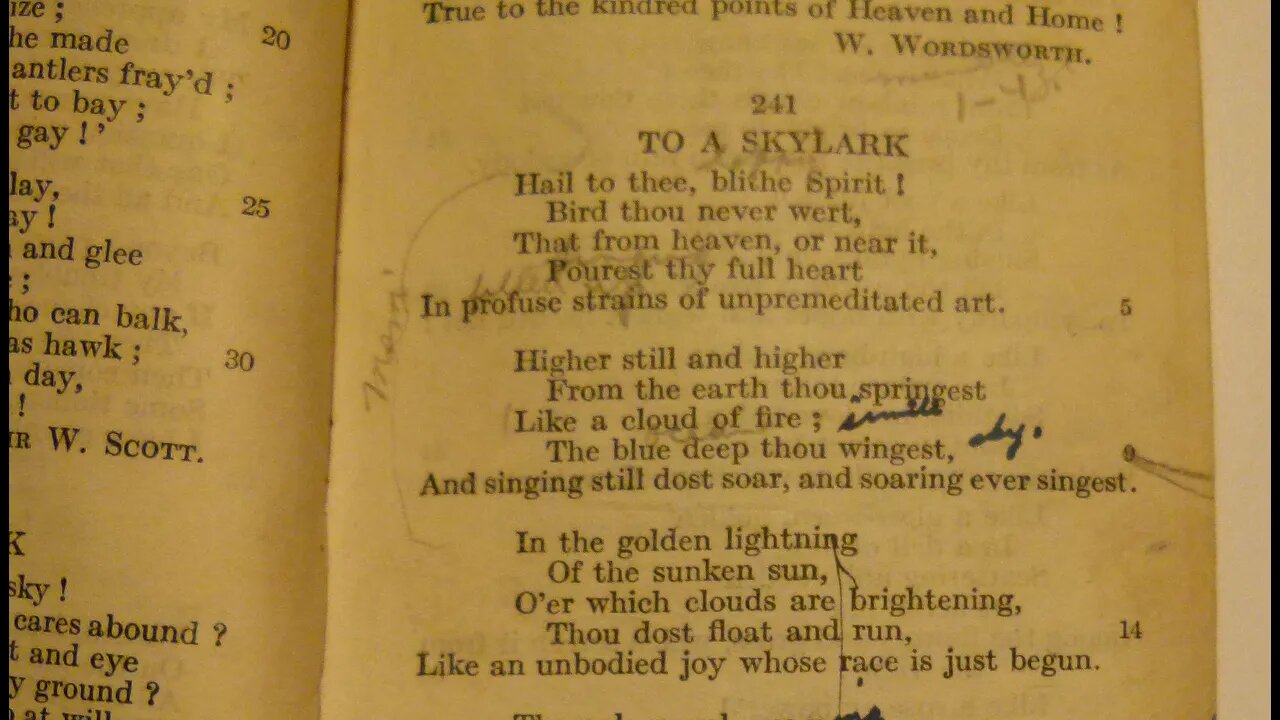 To A Skylark - P. B. Shelley