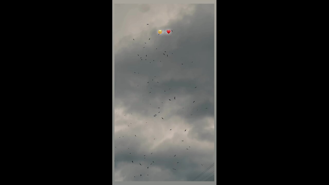 🥺♥️