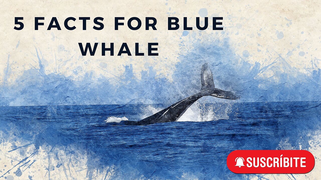 "Amazing Giant:Fascinating Facts About the Blue Whale, the Largest Animal in History"