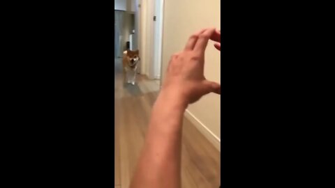 LOL