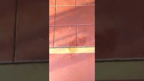 #gangstalking motel neighbors loud music