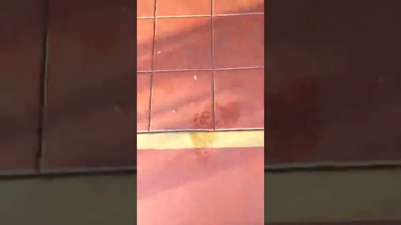 #gangstalking motel neighbors loud music