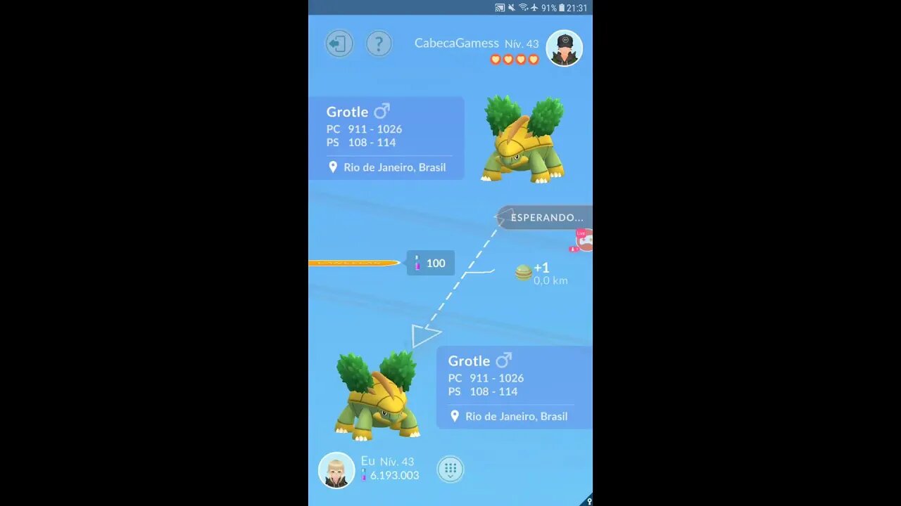 Live de Pokémon GO