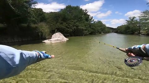 #flyfishing #texas #hillcountry #river for #bass #sunfish #cichlids with a #fiberglass #flyrod