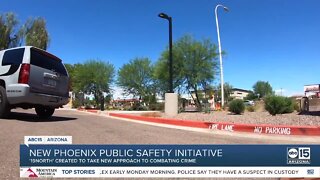 New Phoenix public safety initiative