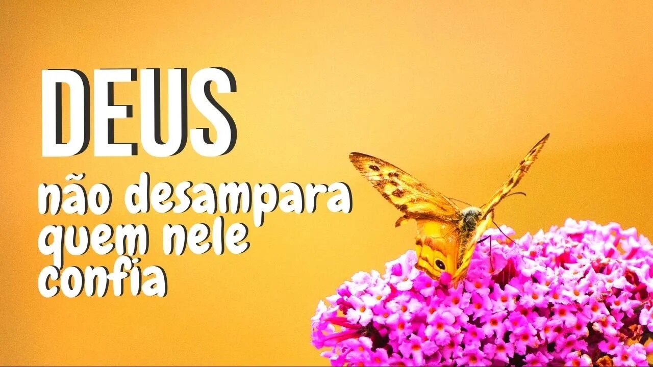 Manhã Com Deus 17/02 — Deus Não Desampara Quem Nele Confia