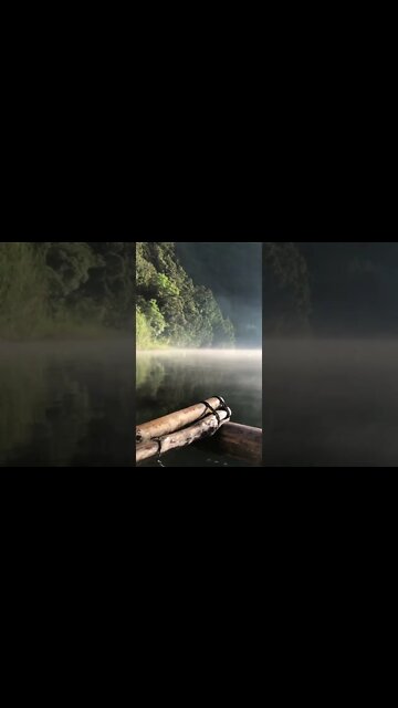 Mystical vibe at lake holon 🍃