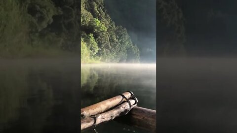 Mystical vibe at lake holon 🍃