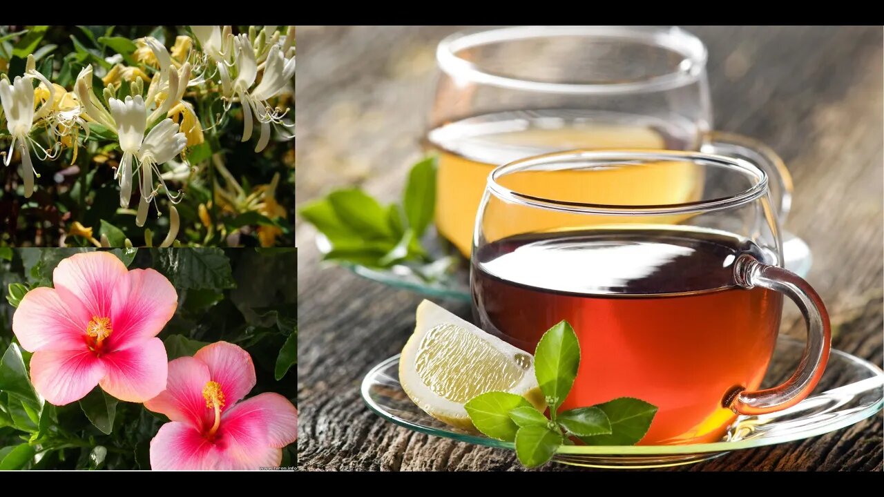 Honeysuckle Hibiscus Tea And What N.E.T means