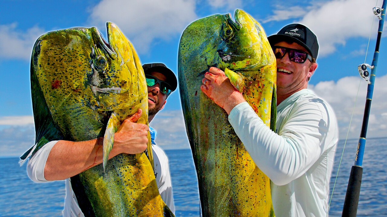 Deep Sea Fishing for MASSIVE Dolphin