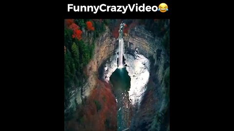 Mr FunnyCrazyVideo😂 Just Incredible Video Funny and Crazy #Like Follow for Follow 🥰