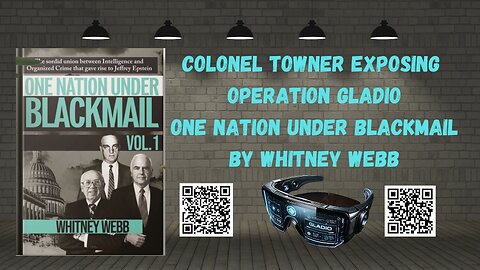 OPERATION GLADIO with Colonel Towner One Nation Under Blackmail by Whitney Webb, Chapter 8