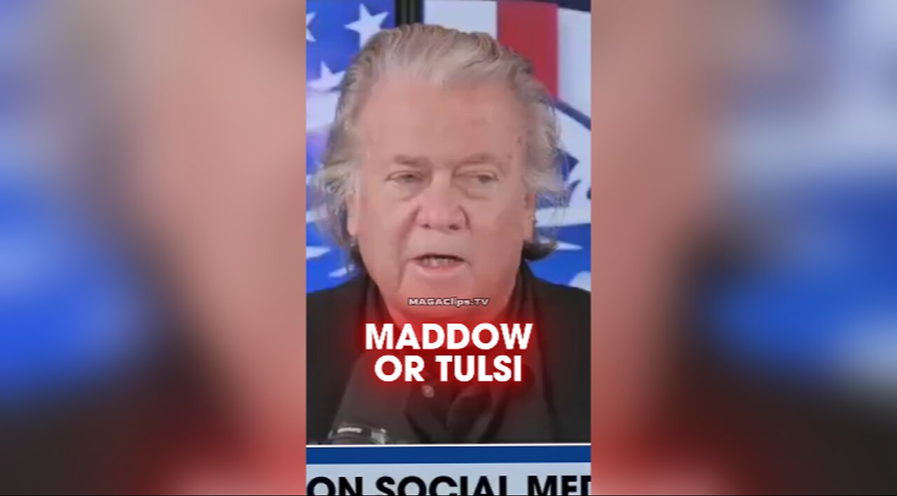 Steve Bannon: If Democrats Were More Like Tulsi Gabbard Instead of Rachel Maddow, They Could Have Won