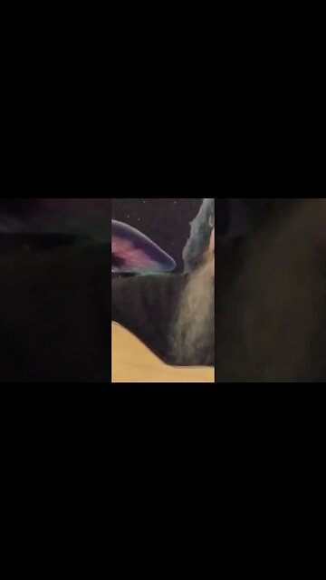 taking water - #billystrings cover by #stevecutlerlive