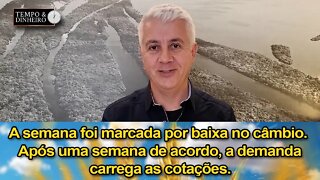 A semana foi marcada por baixa no câmbio. Após uma semana de acordo, a demanda carrega as cotações.