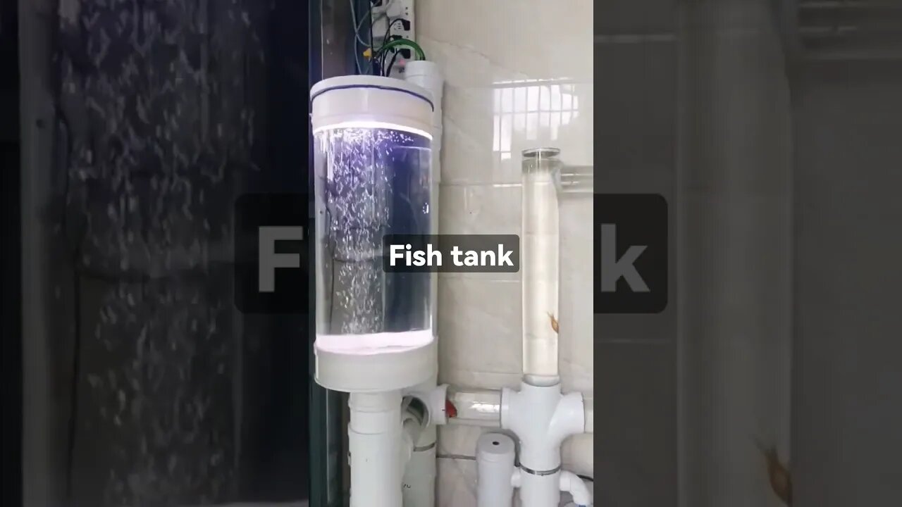 Fish tank #shorts