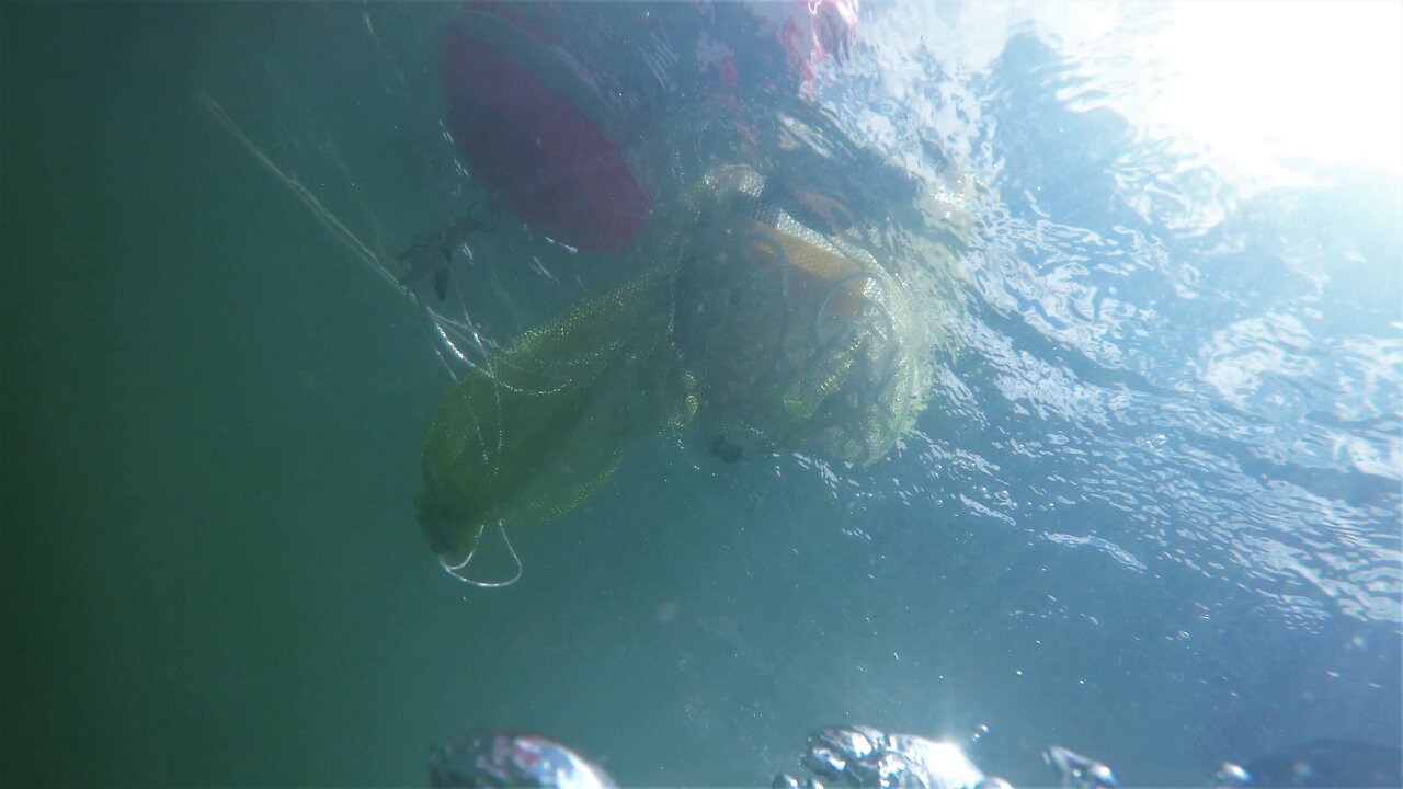 Treasures and Trash Dive at Lake Almanor