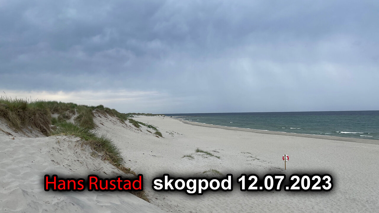 Skogpod 12. juli 2023: Morgenstund har gull i munn