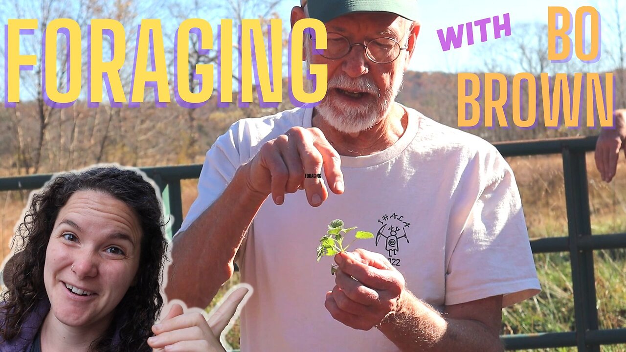 BO BROWN FORAGING WALK ║ 1 Morning, OVER 50 Species!