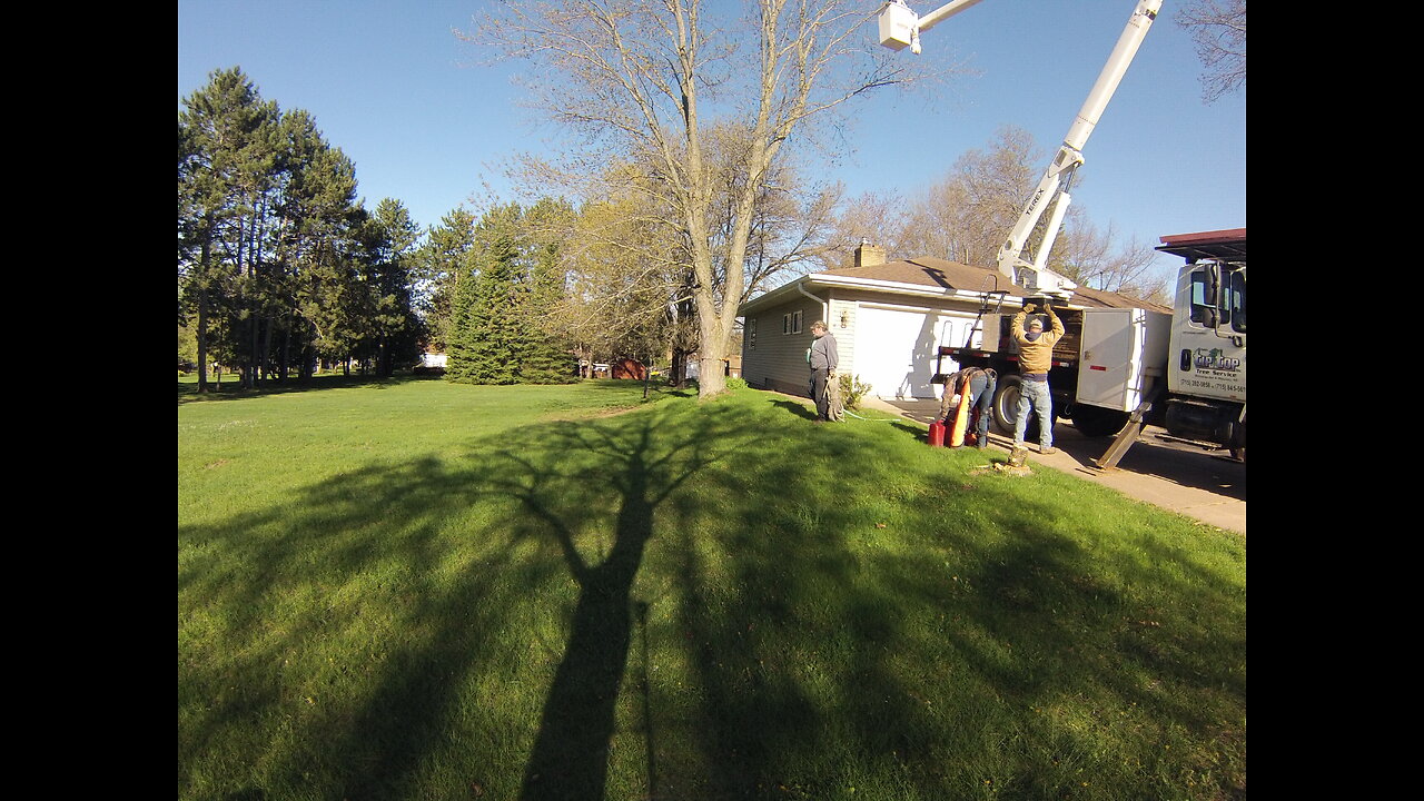 Tree Removal Time Lapse