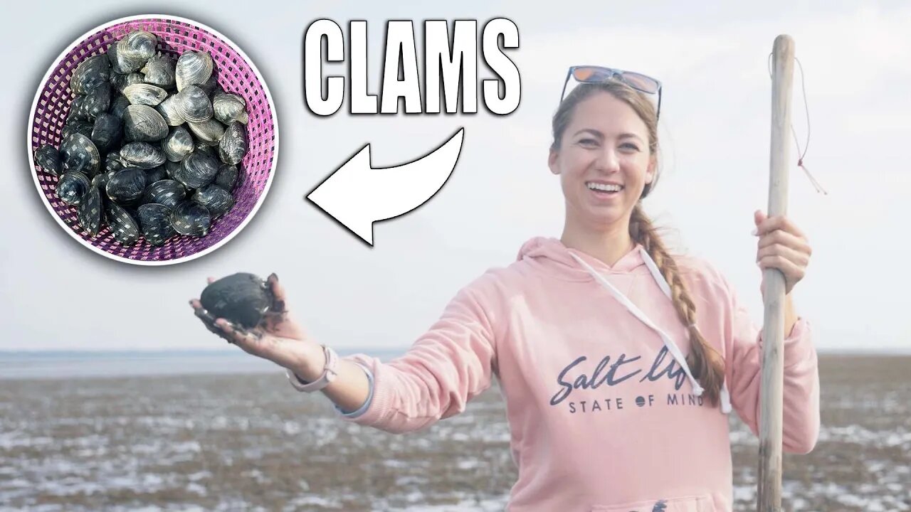 Giant Clams on a Mud Flat - How To Clamming