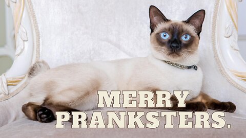 Merry pranksters.