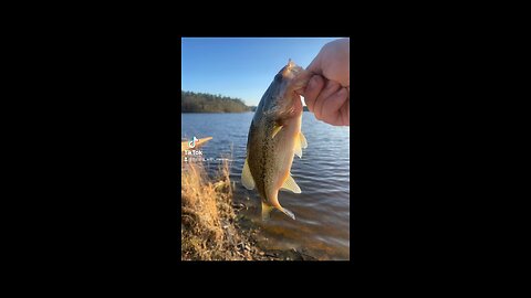 Fishing tiktok